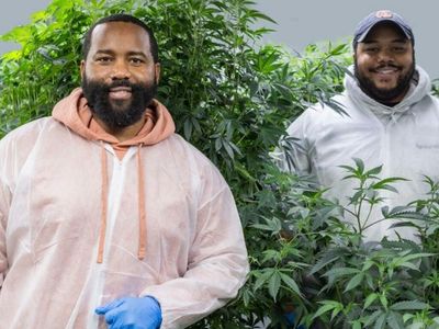 Cornell Grads Co-Found Research-Based Marijuana Company, Plan To Open First NY Boutique Cannabis Hotel