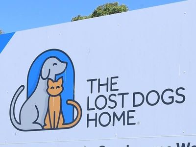 Jail for man who took hostage over cat