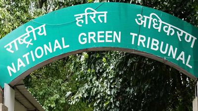 NGT: Raze illegal buildings on nalas in Manikonda and Puppalguda