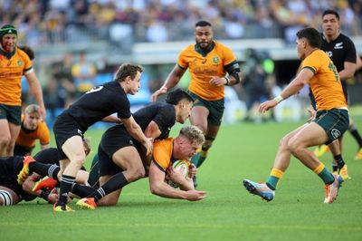 Bledisloe Cup cut to two Tests annually from three