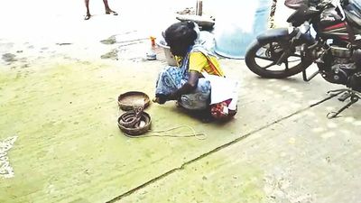 Tamil Nadu: Police hunt on for woman with cobra