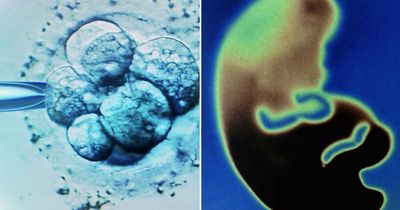 Scientists in UK university awarded $2.8million to unlock the physics of life