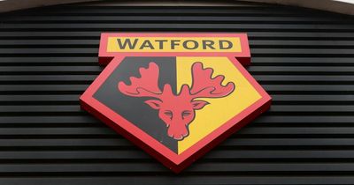 Premier League club Watford slammed for looking to hire unpaid interns