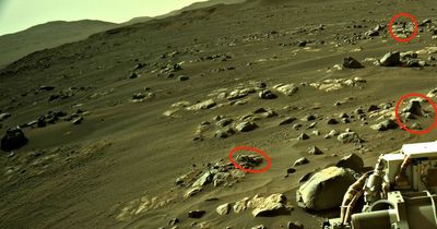 UFO 'expert' accuses NASA of 'hiding facts' after spotting 'old boot' on Mars