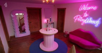 Mum transforms hallway with DIY neon wall inspired by Katie Price's Mucky Mansion