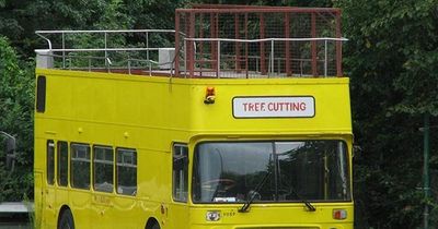 Row continues over how much 'scandalous' tree cutting bus has cost Caerphilly