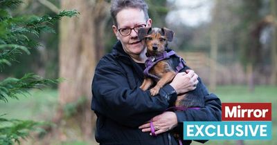 'My dog saved my husband's life with CPR - without him I'd be a widow'