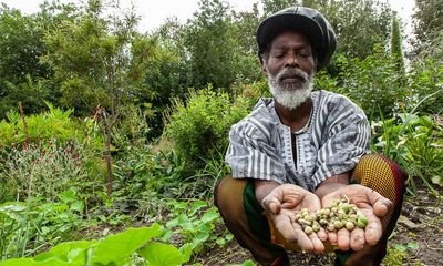 ‘I grew yam on my veranda’: inside London’s little-known Windrush gardens