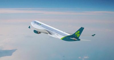 US-bound passengers can skip lengthy immigration queues with Aer Lingus flights