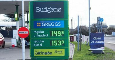 Drivers buying more petrol as prices soar - but chains urge don't get carried away