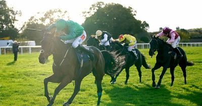 Horse Power: Good Boy Bobby can book Grand National place with win at Kempton