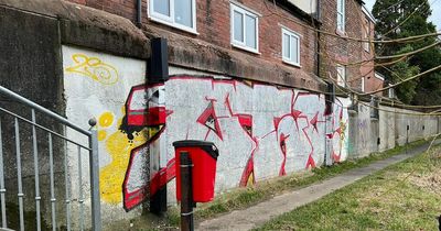 Morpeth at risk of 'going downhill' due to unsightly graffiti, resident fears