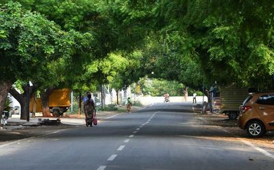 A shrinking green in India’s growing megacities