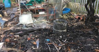 New photos show devastation of arson at Sutton-in-Ashfield allotments