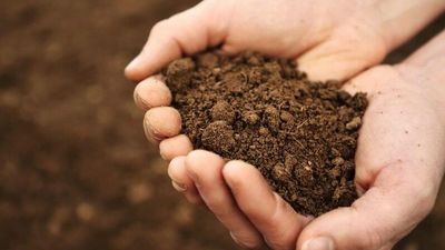 Soil carbon credit riches loom but farmers should keep them for themselves, expert says