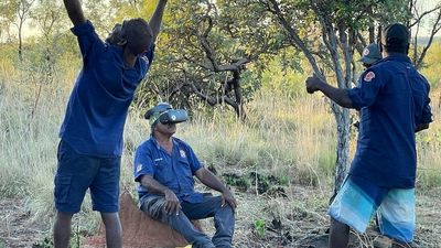 Black-footed rock wallabies kept under surveillance by drones flown by Kimberley rangers