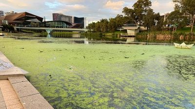 SA Liberals promise to rejuvenate River Torrens and Highbury quarry as poll shows Labor ahead