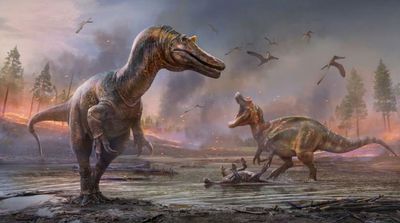 Dinosaur Age on Earth Ended during Springtime, New Study