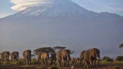 Study: African Nations Forced to Spend on Climate Adaptation