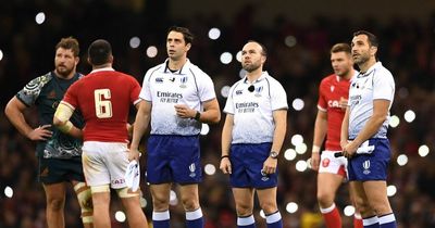 England v Wales referee Mike Adamson, the 'horrendous' claim and complaint to World Rugby