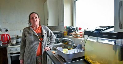 Life in the block of flats where residents claim rats crawl from walls and drug users take over terrified people's homes