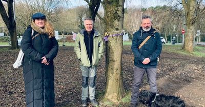 Tree planted by Belfast's first woman mayor to be chopped down for flood scheme