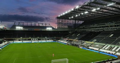 Newcastle United begin plans to expand St James' Park capacity