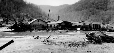 Coal disaster 50 years later: WVa creek teeming with fish