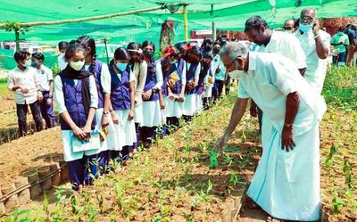 Social audit to be introduced in social forestry: Saseendran