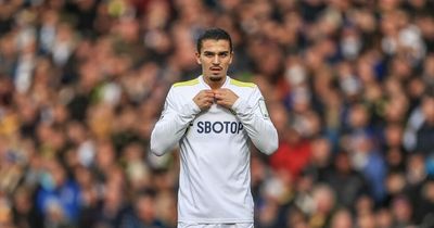 Pascal Struijk delivers honest Leeds United verdict after 'hard' Tottenham Hotspur drubbing