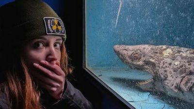 VIDEO: Urban Explorer Finds Dead Squid And Shark In Abandoned Aquarium