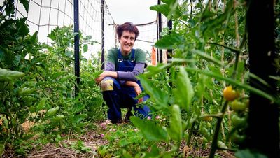 Push on to grow local food systems in Canberra