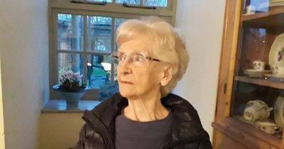 Concern as 96-year-old woman goes missing
