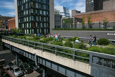 Green cities, gentrified cities?