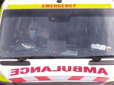Japanese encephalitis warning for Victoria