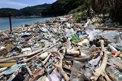 OECD: Global plastic disposal nearly doubled over 19 years