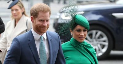 Prince Harry urges support for Ukraine as president warns of 'environmental catastrophe'