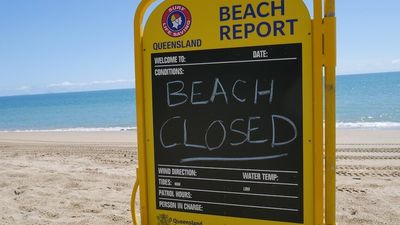 Teenager dies from box jellyfish sting at Eimeo Beach near Mackay