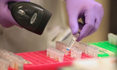 UK scientists fear brain drain as Brexit rows put research at risk