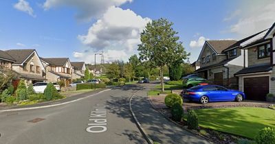 Man arrested after stinger is used to intercept stolen car just half an hour after it was taken