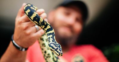 'I’m worried my pet python might be a dealbreaker to progressing my relationship'