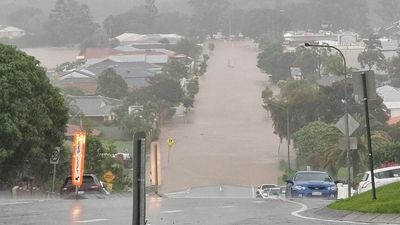 Man and dog die in Gold Coast floodwaters after emergency alert issued