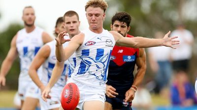 How Jason Horne-Francis, Nick Daicos and other AFL rookies fared in the first week of preseason