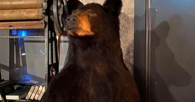 Colonel Porter's stuffed bear Herbert returned - after captors took him all the way to Ireland