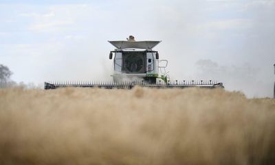 Australian grain prices set to rise as Russian invasion of Ukraine disrupts global supplies