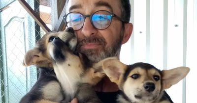 Brave hero stays in Ukraine to protect 400 rescue animals from Russian bombings
