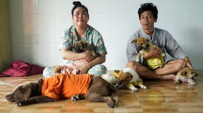 Vietnamese Couple on Dog-Adoption Spree after Authorities Cull their Pets