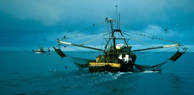 Is sustainable seabed trawling possible? A look at the evidence