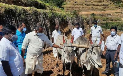 Minister visits Vattavada farms, assures action