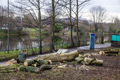 Anger as trees including one planted by Belfast Lord Mayor felled in flood move